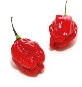 habanero b